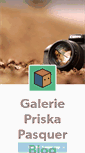 Mobile Screenshot of galerie-priska-pasquer.tumblr.com