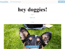 Tablet Screenshot of heydoggies.tumblr.com