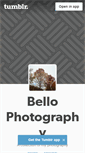 Mobile Screenshot of bellophotography.tumblr.com