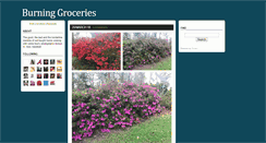 Desktop Screenshot of burninggroceries.tumblr.com