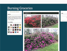 Tablet Screenshot of burninggroceries.tumblr.com