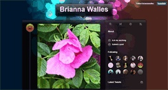 Desktop Screenshot of briannawalles.tumblr.com