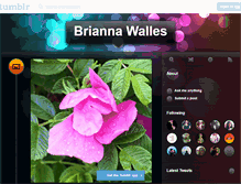 Tablet Screenshot of briannawalles.tumblr.com