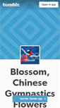 Mobile Screenshot of chinesegymnastics.tumblr.com