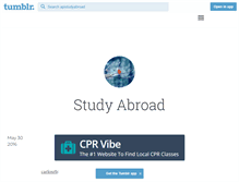 Tablet Screenshot of apistudyabroad.tumblr.com
