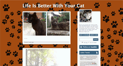 Desktop Screenshot of lifeisbetterwithyourcat.tumblr.com