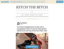 Tablet Screenshot of kitchthebitch.tumblr.com