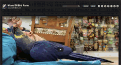 Desktop Screenshot of mdbirdfarm.tumblr.com