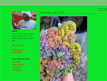 Tablet Screenshot of hailmaryjane.tumblr.com