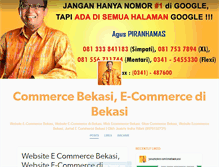 Tablet Screenshot of ecommerce-bekasi.tumblr.com