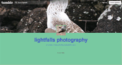 Desktop Screenshot of lightfalls.tumblr.com
