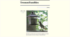 Desktop Screenshot of jasontromm.tumblr.com