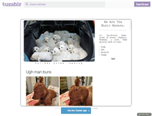 Tablet Screenshot of ohhitslo.tumblr.com