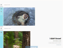 Tablet Screenshot of casper.tumblr.com