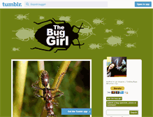 Tablet Screenshot of buggirl.tumblr.com