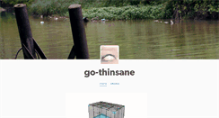 Desktop Screenshot of go-thinsane.tumblr.com