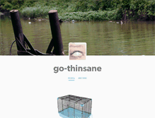 Tablet Screenshot of go-thinsane.tumblr.com
