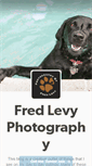 Mobile Screenshot of fredlevyart.tumblr.com