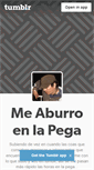 Mobile Screenshot of meaburroenlapega.tumblr.com