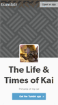 Mobile Screenshot of lifeandtimesofkai.tumblr.com