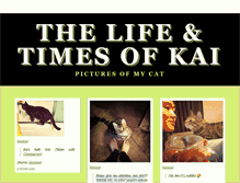 Tablet Screenshot of lifeandtimesofkai.tumblr.com