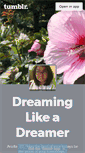 Mobile Screenshot of dreaminglikeadreamer.tumblr.com