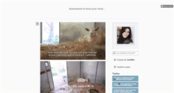 Desktop Screenshot of lostinchicklit.tumblr.com