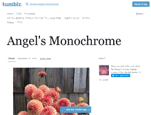 Tablet Screenshot of angels-monochrome.tumblr.com
