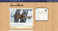 Desktop Screenshot of exposedbricks.tumblr.com