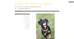 Desktop Screenshot of coplandphotography.tumblr.com