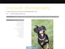 Tablet Screenshot of coplandphotography.tumblr.com