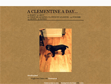 Tablet Screenshot of dailyclementine.tumblr.com