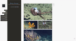 Desktop Screenshot of oceanaware.tumblr.com