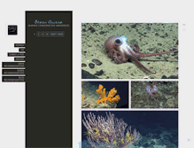 Tablet Screenshot of oceanaware.tumblr.com