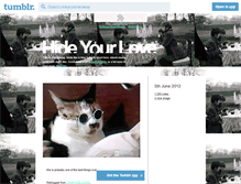 Tablet Screenshot of hideyourloveaway.tumblr.com