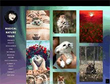 Tablet Screenshot of magicalnaturetour.tumblr.com