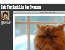 Tablet Screenshot of catsthatlooklikeronswanson.tumblr.com