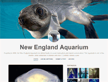 Tablet Screenshot of neaq.tumblr.com