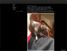 Tablet Screenshot of bourbonst.tumblr.com