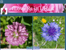 Tablet Screenshot of flowersinurbia.tumblr.com