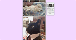 Desktop Screenshot of littertray.tumblr.com