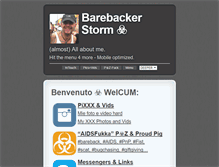 Tablet Screenshot of bbstorm.tumblr.com