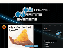 Tablet Screenshot of catalysttrainingsystems.tumblr.com