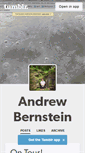 Mobile Screenshot of andrewbernstein.tumblr.com