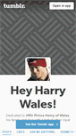 Mobile Screenshot of heyharrywales.tumblr.com