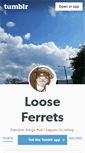 Mobile Screenshot of looseferrets.tumblr.com