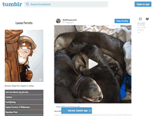 Tablet Screenshot of looseferrets.tumblr.com