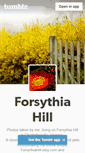 Mobile Screenshot of forsythiahill.tumblr.com