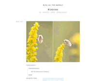Tablet Screenshot of blogalltheanimals.tumblr.com