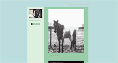 Desktop Screenshot of equestrian-endeavors.tumblr.com